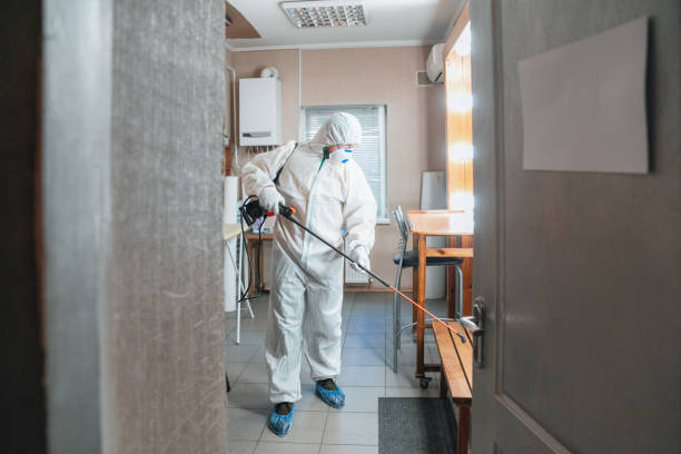 Mold Odor Removal Services in Baxter Village, SC